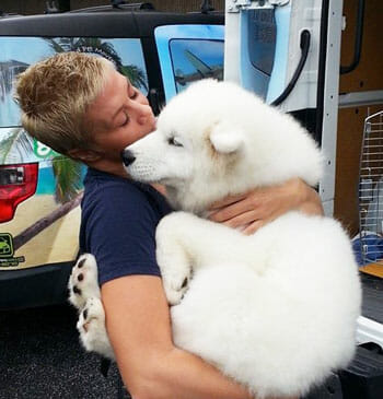 Discount pet mover Clearance Black Friday